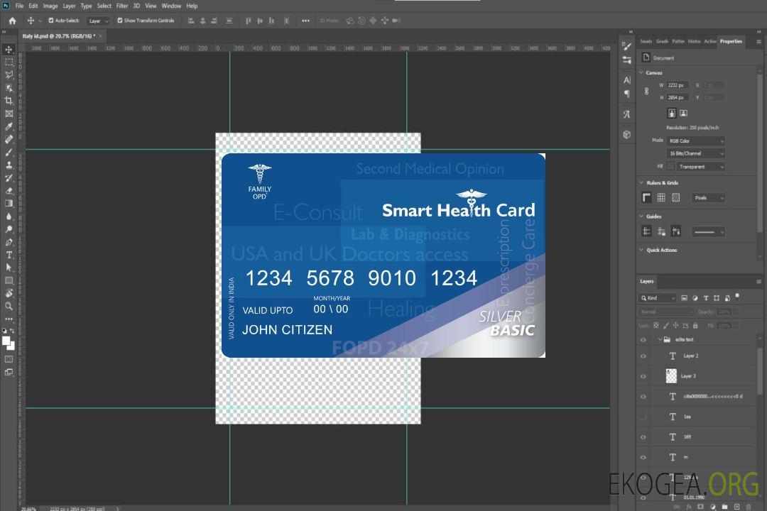 Carte de santé à puce India Family OPD template